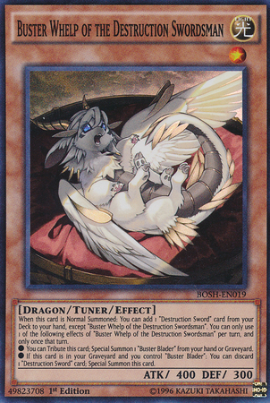 Buster Whelp of the Destruction Swordsman [BOSH-EN019] Super Rare | Odin's Place