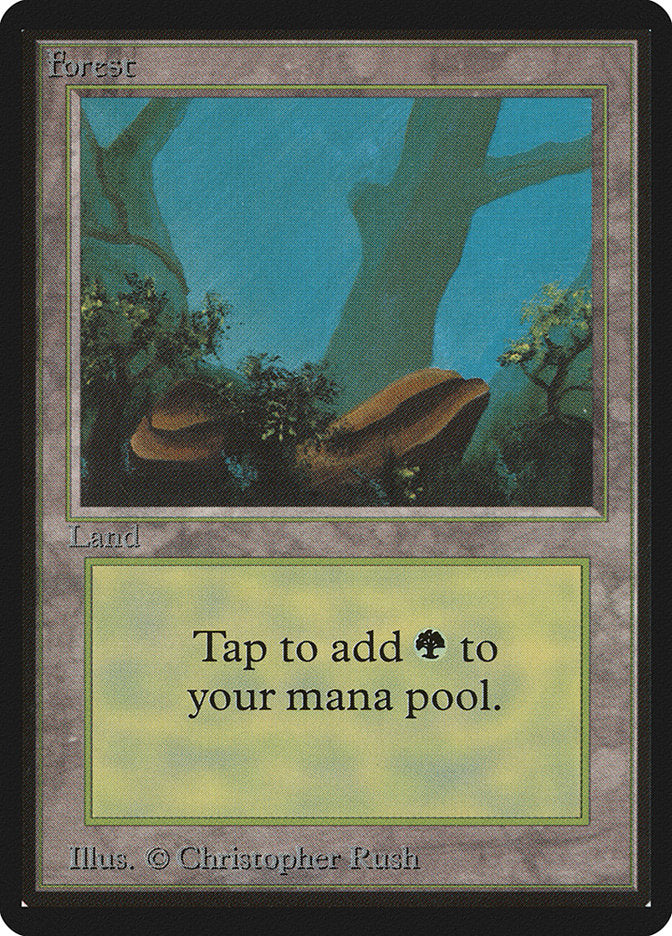 Forest (300) [Beta Edition] | Odin's Place