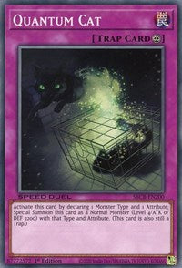 Quantum Cat [SBCB-EN200] Common | Odin's Place