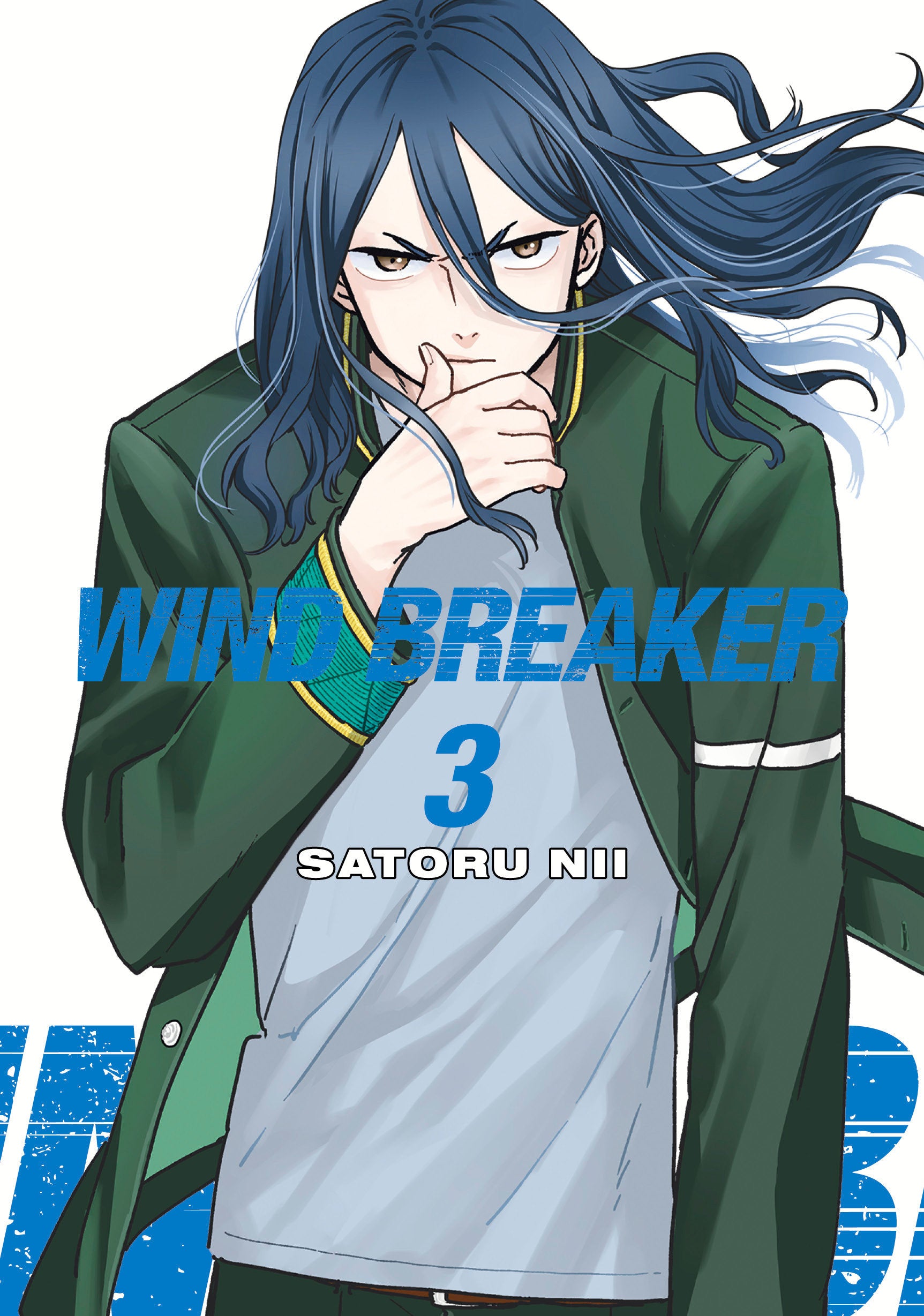 Wind Breaker 3 | Odin's Place