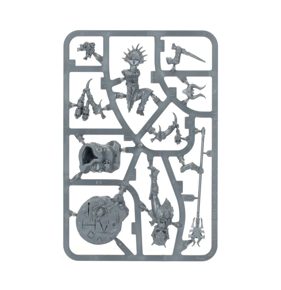 Warhammer Age of Sigmar: Realmgore Ritualist | Odin's Place
