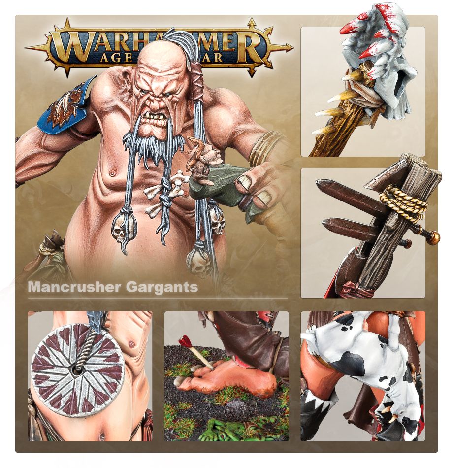 Black Library: Warhammer Chonicles: Elves the Omnibus | Odin's Place
