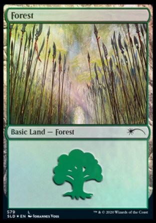 Forest (Elves) (579) [Secret Lair Drop Promos] | Odin's Place
