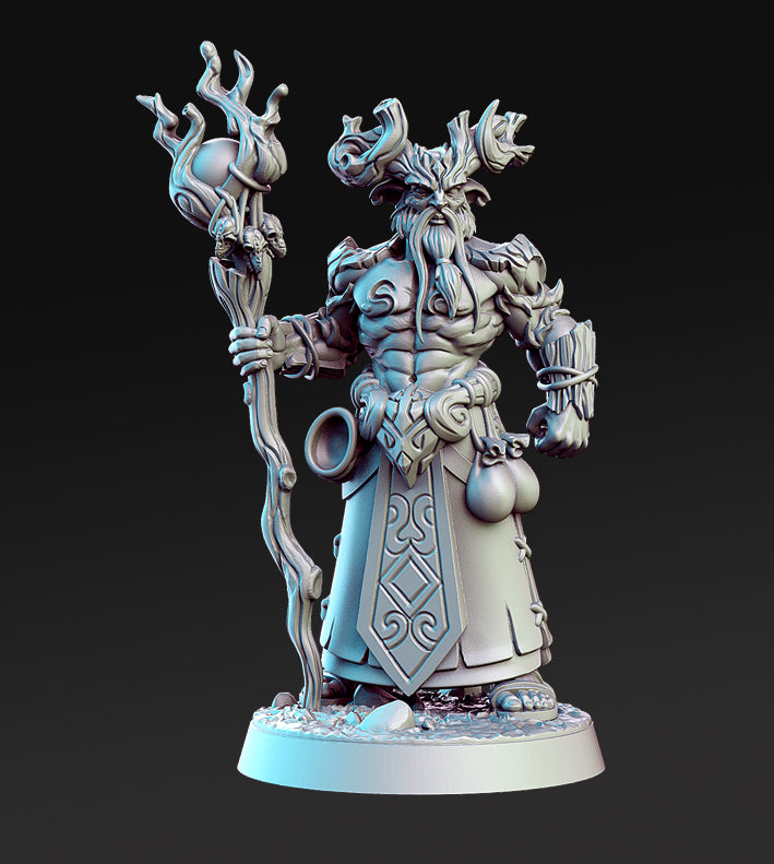 Dragon's Lair Printed Mini: Inside the Magic Forest Set | Odin's Place