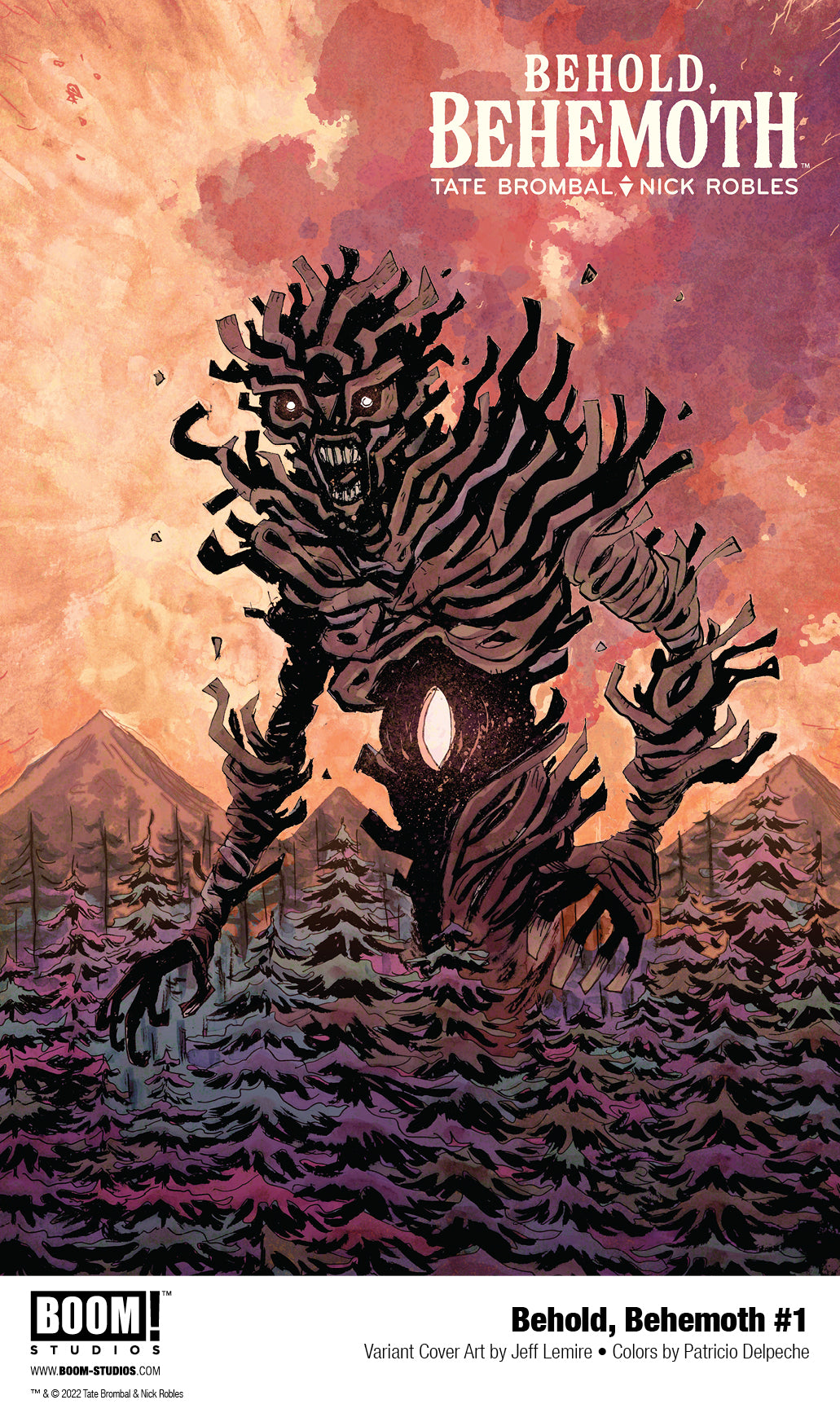 Comic Bundles | Odin's Place