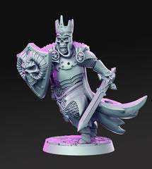 Dragon's Lair Printed Mini: Adventurers Set | Odin's Place