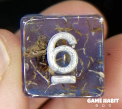 Game Habit Clever Girl Poly 7 Dice Set | Odin's Place