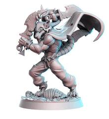 Dragon's Lair Printed Mini: A Light in the Dark Set | Odin's Place