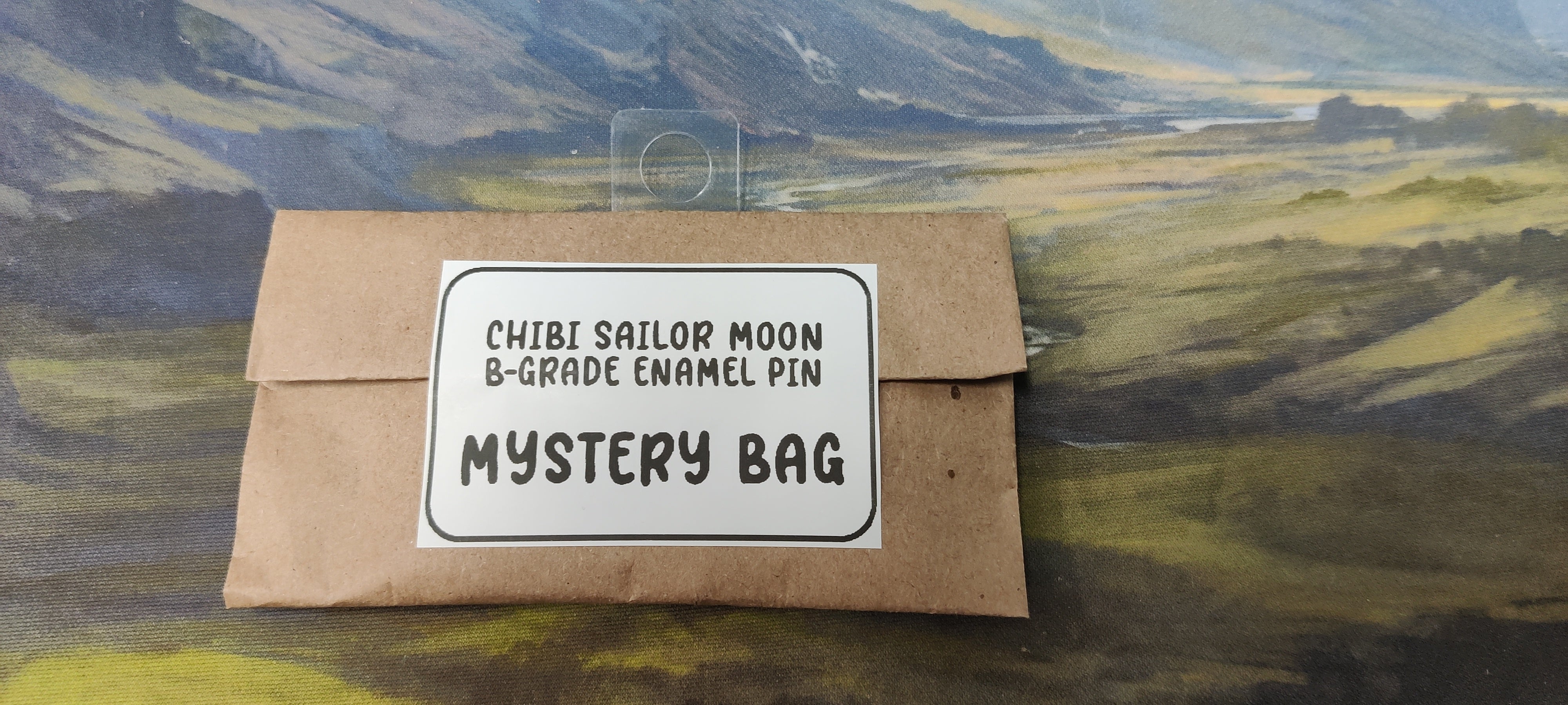 Sugar Cubed Studios Mystery Bags Assorted | Odin's Place