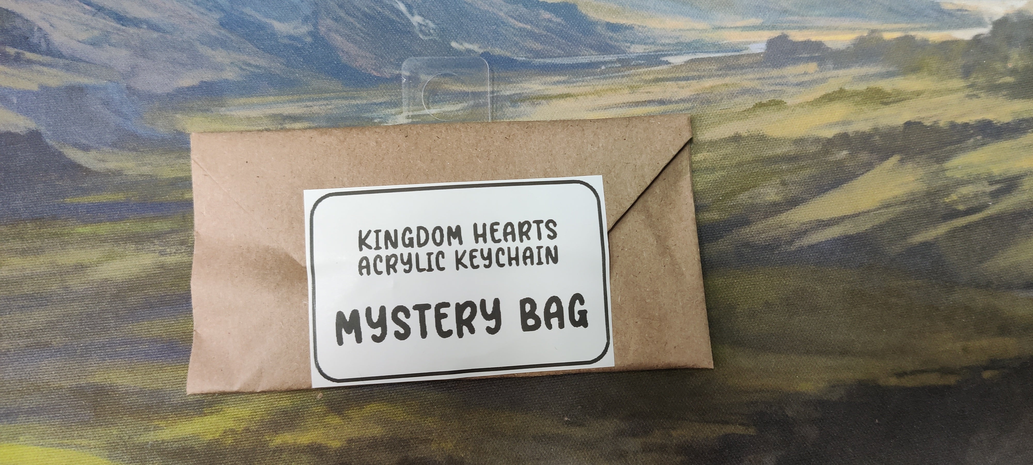 Sugar Cubed Studios Mystery Bags Assorted | Odin's Place