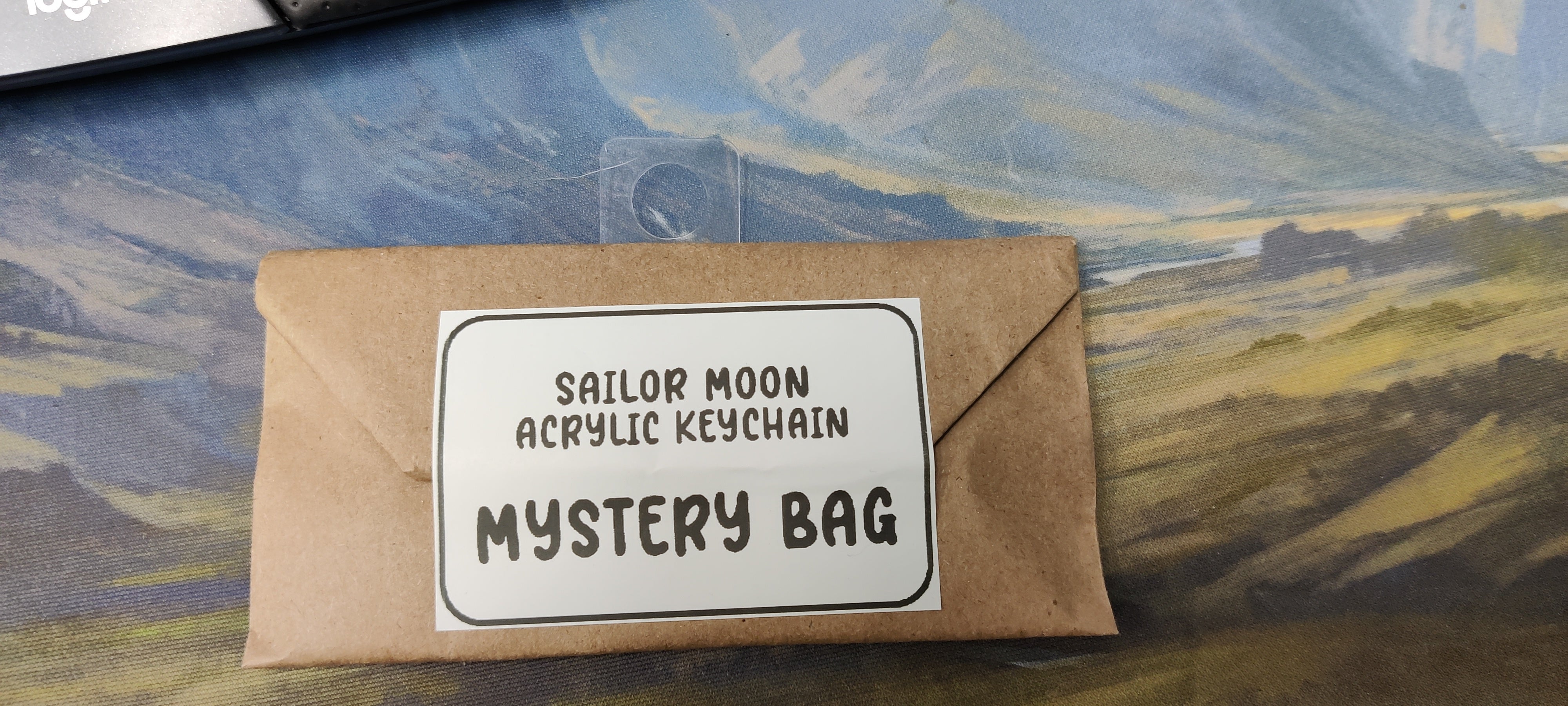 Sugar Cubed Studios Mystery Bags Assorted | Odin's Place