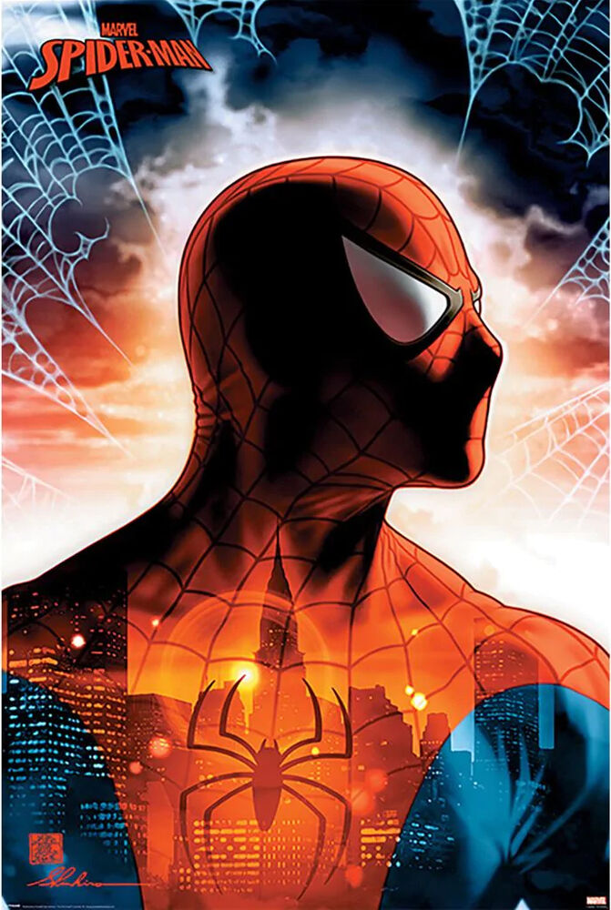 Poster: Spider-Man Protector of the City | Odin's Place