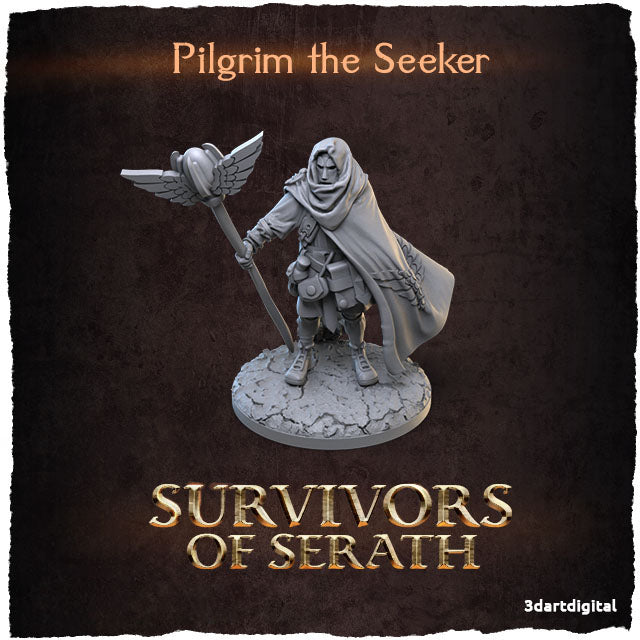 Dragon's Lair Printed Mini: Survivors of Serath Set | Odin's Place