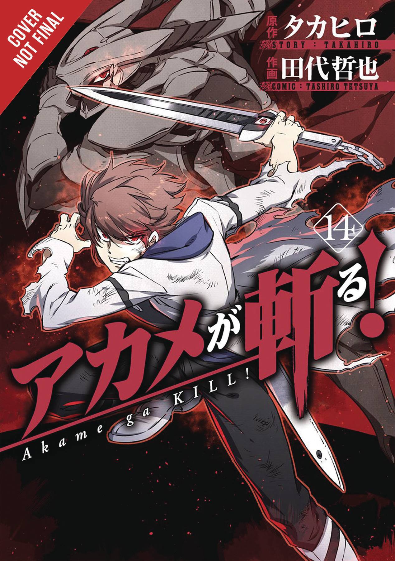 Akame Ga Kill Volume 14 | Odin's Place