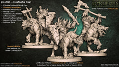 Dragon's Lair Printed Mini: Frostmetal Clan Set | Odin's Place