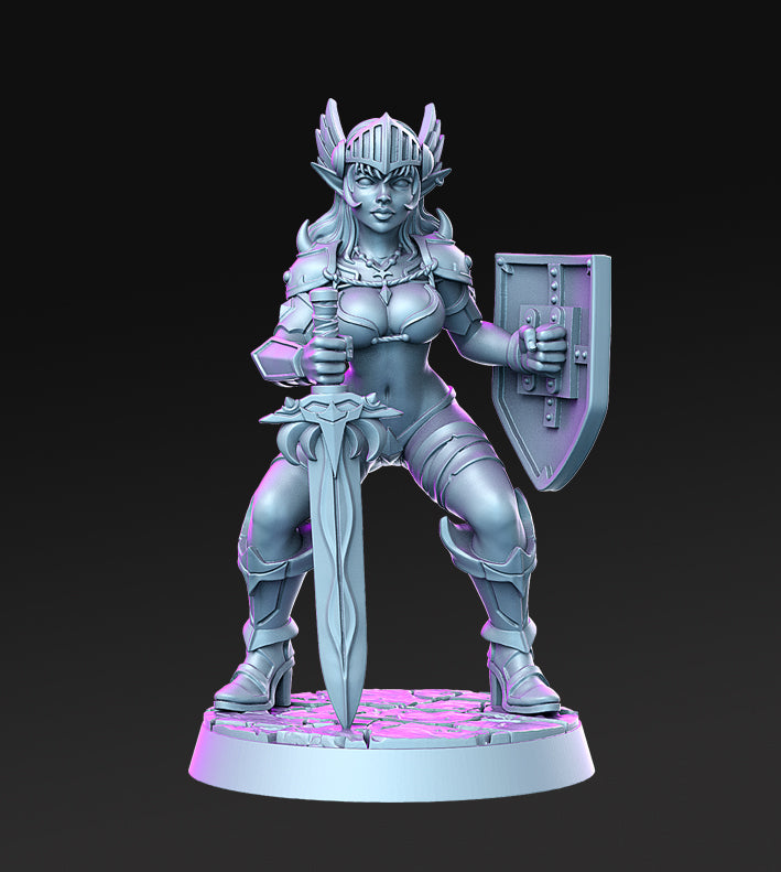Dragon's Lair Printed Mini: Royal Guard 2 Set | Odin's Place