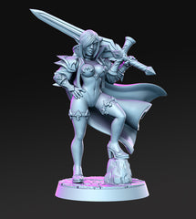 Dragon's Lair Printed Mini: Royal Guard 2 Set | Odin's Place