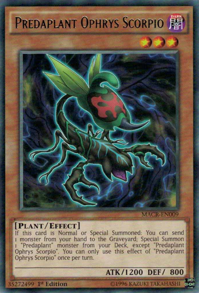 Predaplant Ophrys Scorpio [MACR-EN009] Rare | Odin's Place