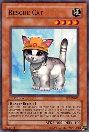 Rescue Cat [FET-EN033] Common | Odin's Place