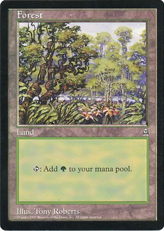 Forest (39840) (Oversized) [Oversize Cards] | Odin's Place