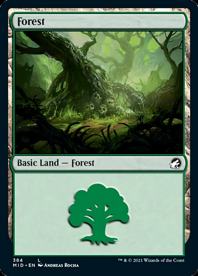 Forest (384) [Innistrad: Midnight Hunt] | Odin's Place