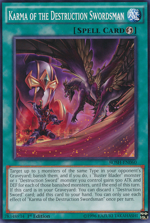 Karma of the Destruction Swordsman [BOSH-EN060] Common | Odin's Place