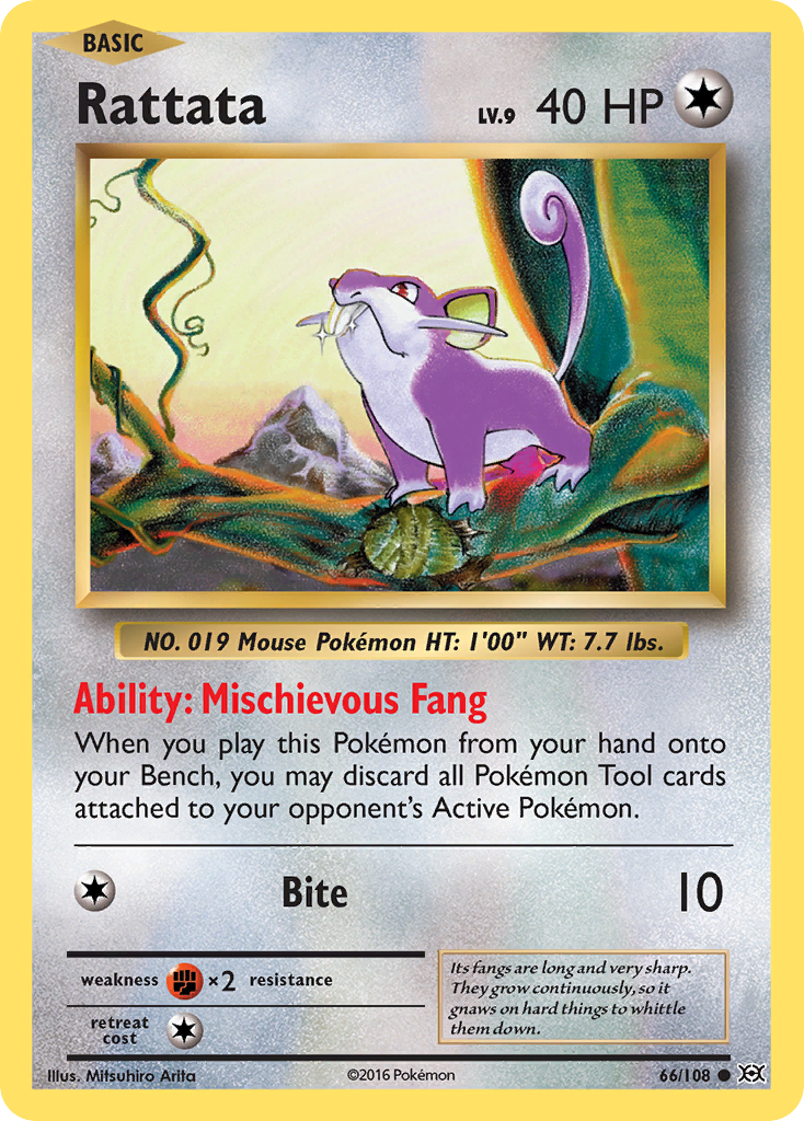 Rattata (66/108) [XY: Evolutions] | Odin's Place