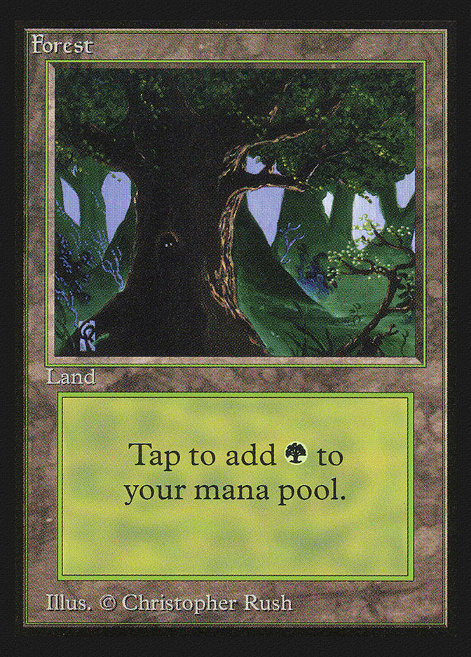 Forest (Eyes in Tree) [Collectors' Edition] | Odin's Place