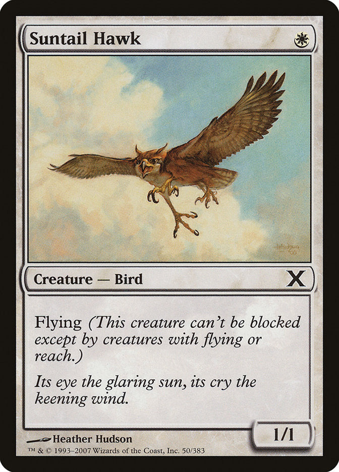 Suntail Hawk (50) [Tenth Edition] | Odin's Place