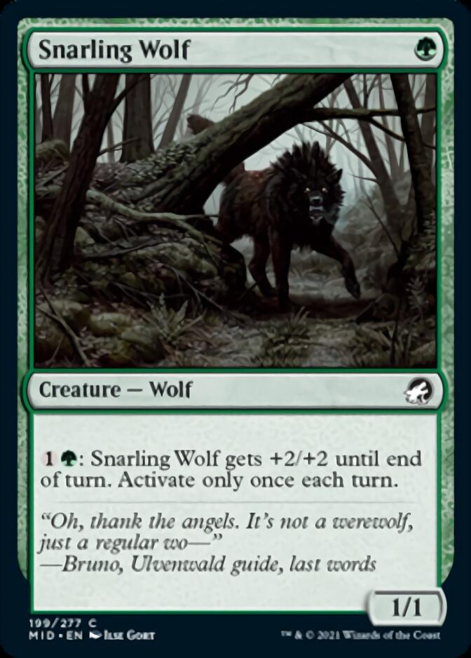 Snarling Wolf [Innistrad: Midnight Hunt] | Odin's Place