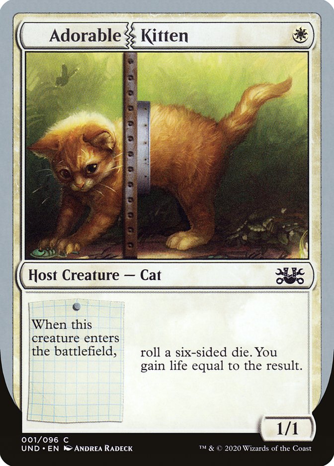 Adorable Kitten [Unsanctioned] | Odin's Place