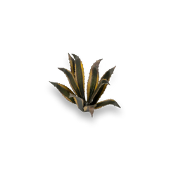 Gamers Grass Laser Plants Assorted Styles | Odin's Place