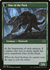Solitary Hunter // One of the Pack [Shadows over Innistrad] | Odin's Place
