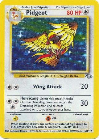 Pidgeot (8/64) [Jungle Unlimited] | Odin's Place