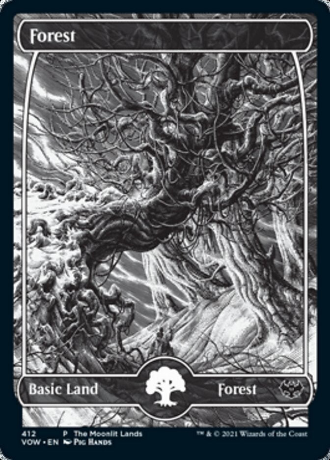 Forest (The Moonlit Lands) (Foil Etched) [Innistrad: Crimson Vow Promos] | Odin's Place