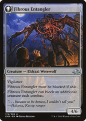 Tangleclaw Werewolf // Fibrous Entangler [Eldritch Moon] | Odin's Place