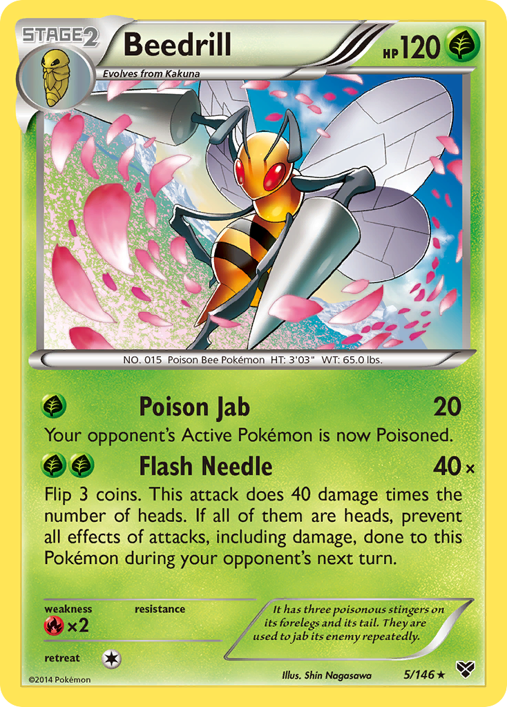 Beedrill (5/146) [XY: Base Set] | Odin's Place