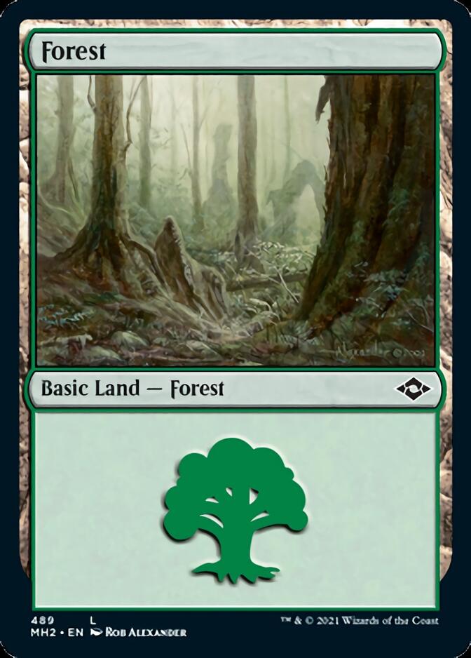 Forest (489) [Modern Horizons 2] | Odin's Place
