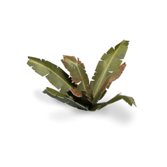 Gamers Grass Laser Plants Assorted Styles | Odin's Place