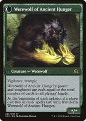 Sage of Ancient Lore // Werewolf of Ancient Hunger [Shadows over Innistrad] | Odin's Place