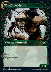 Bird Admirer // Wing Shredder (Showcase Equinox) [Innistrad: Midnight Hunt] | Odin's Place
