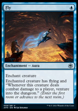 Fly [Dungeons & Dragons: Adventures in the Forgotten Realms] | Odin's Place