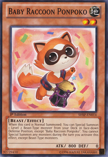 Baby Raccoon Ponpoko [SHSP-EN014] Common | Odin's Place