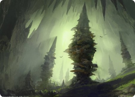 Forest (280) Art Card [Dungeons & Dragons: Adventures in the Forgotten Realms Art Series] | Odin's Place