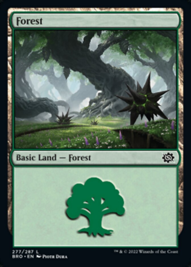 Forest (277) [The Brothers' War] | Odin's Place