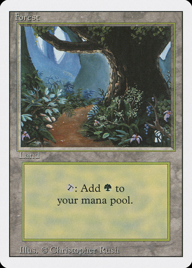 Forest (Flower Path) [Revised Edition] | Odin's Place