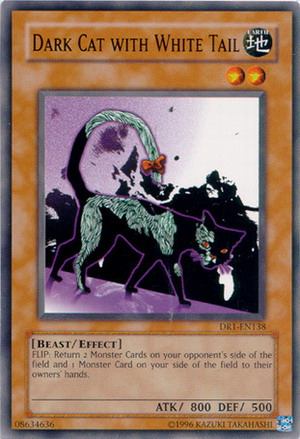 Dark Cat with White Tail [DR1-EN138] Common | Odin's Place