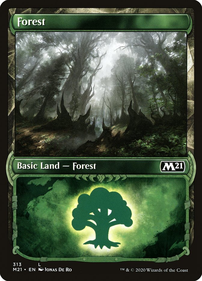 Forest (313) (Showcase) [Core Set 2021] | Odin's Place