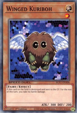 Winged Kuriboh [SGX1-ENA06] Common | Odin's Place