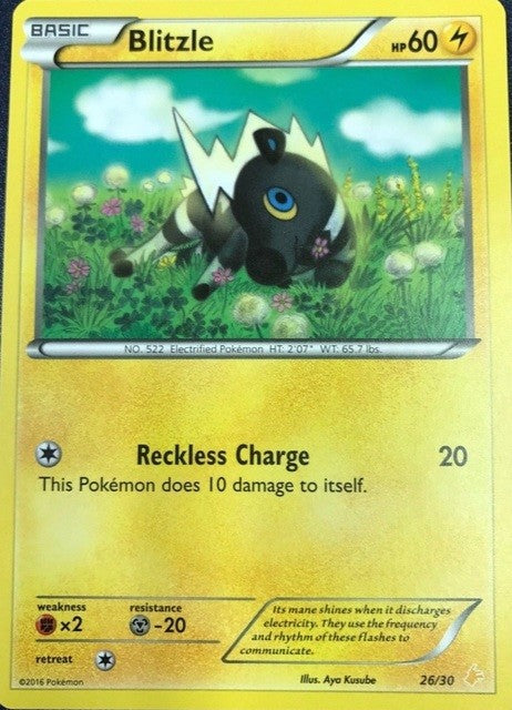 Blitzle (26/30) [XY: Trainer Kit 3 - Pikachu Libre] | Odin's Place